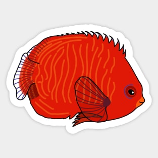 Golden Angelfish Sticker